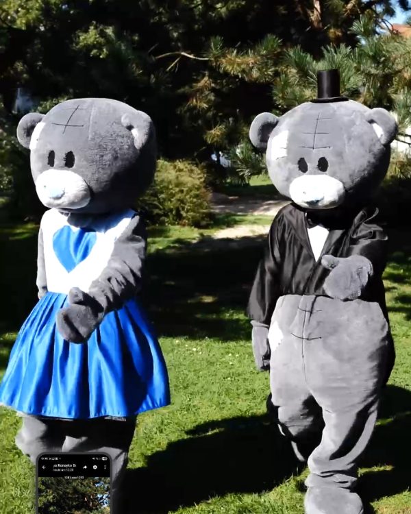Tedi Bear