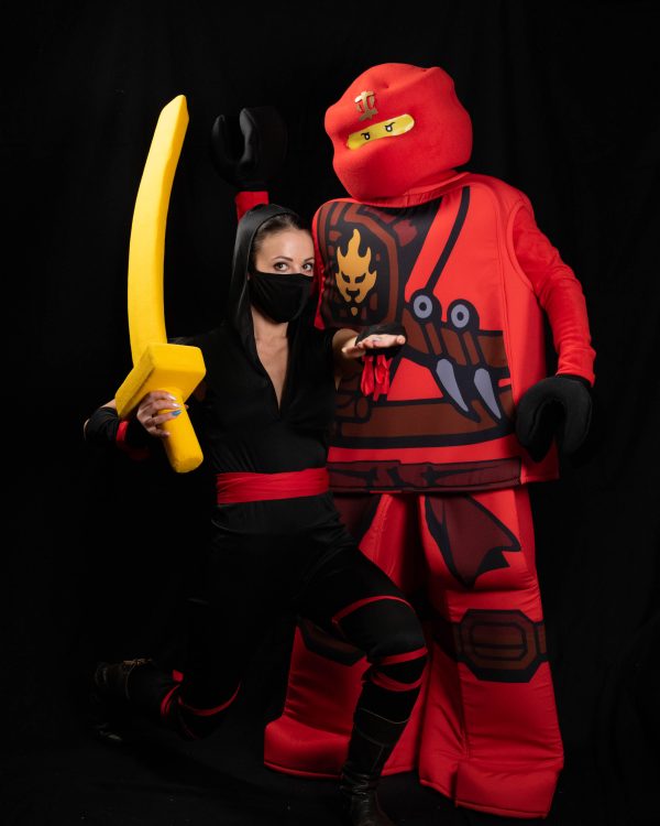 Ninja Party