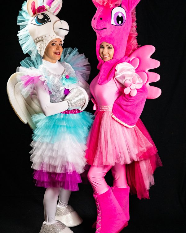 Einhorn Party