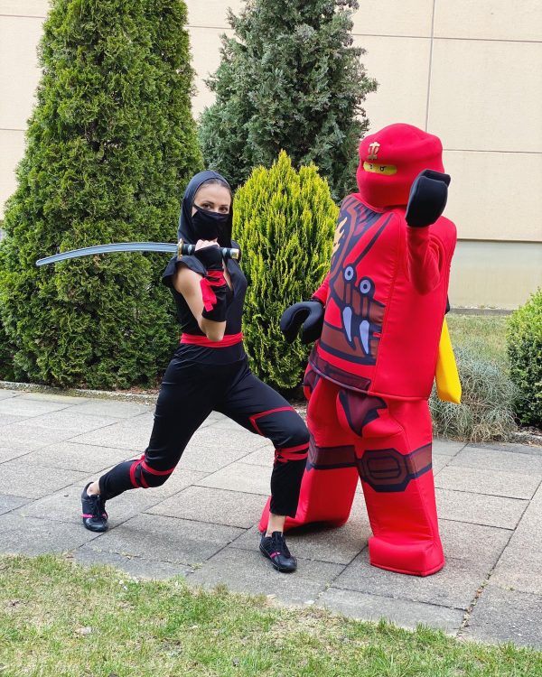 Ninja Party