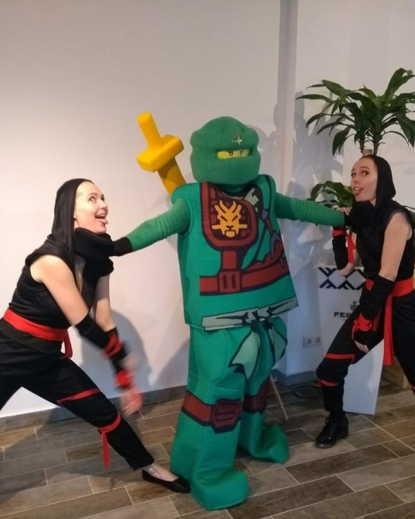 Ninja Party