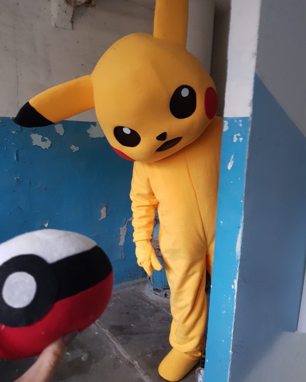 Pika Party