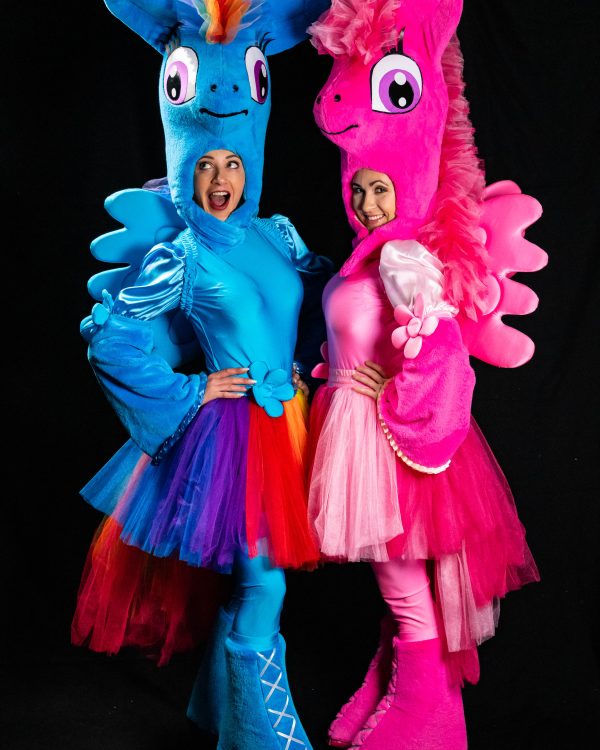 Pony und Einhorn Party