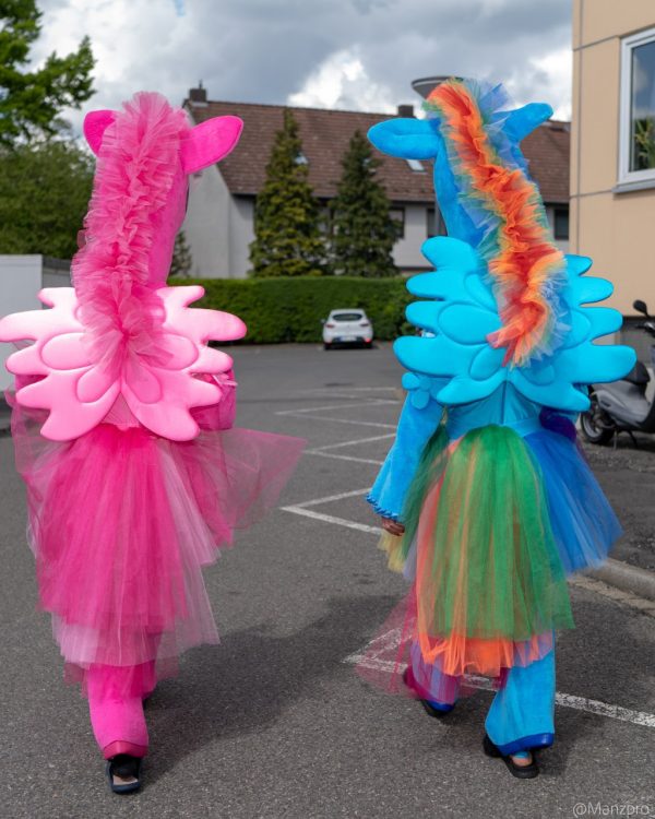 Pony und Einhorn Party