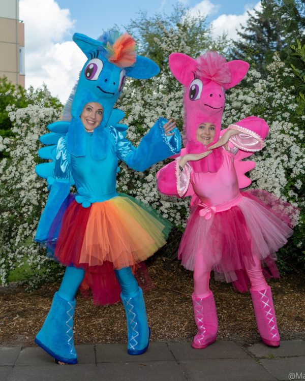 Pony und Einhorn Party