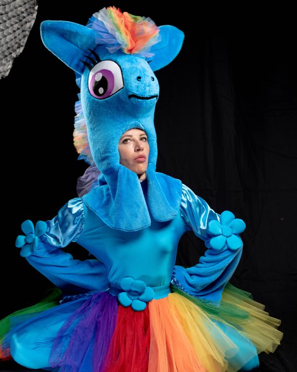 Pony und Einhorn Party