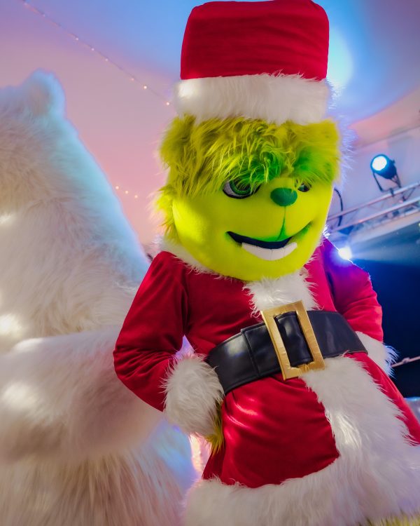 Grinch Party