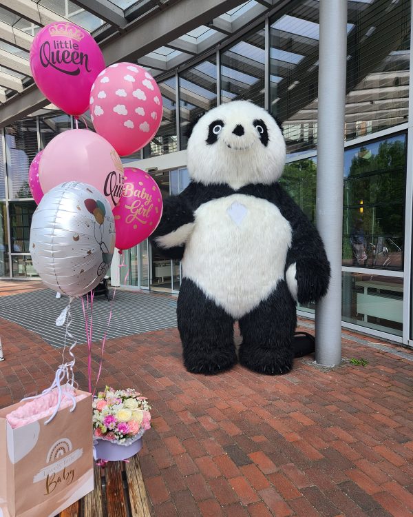 Panda
