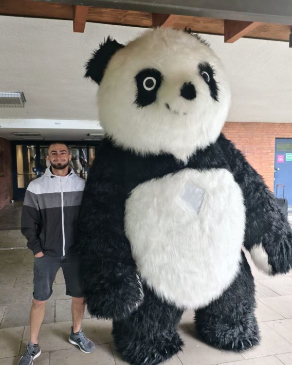 Panda